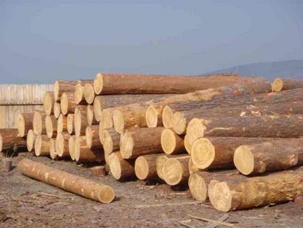 Case din lemn de Angara pin - baikaldoma din lemn din grinzi stratificate si profilate