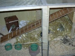 Casa pentru un hamster cu propriile mâini - cum să faci acasă