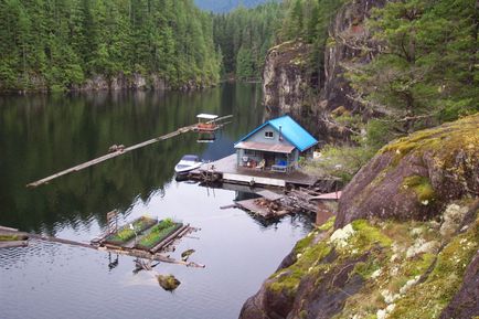 Будинок на плаву 11 варіантів еко-будинків на воді