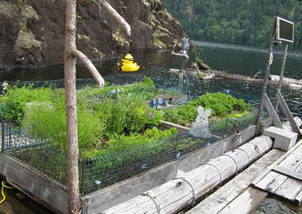 Будинок на плаву 11 варіантів еко-будинків на воді