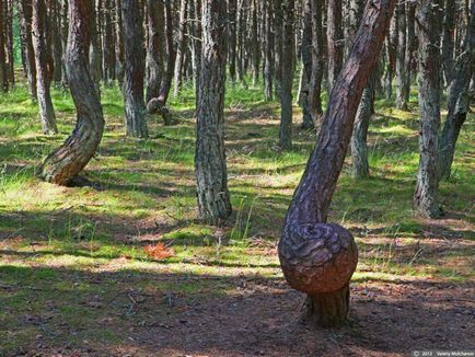 Пам'ятки - національний парк куршская коса