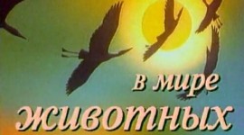 Джентльмени удачі - таби, ноти, фрагмент мелодії з кінофільму (головна тема)