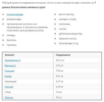 Echinacea proprietăți medicinale și contraindicații pentru bărbați și femei