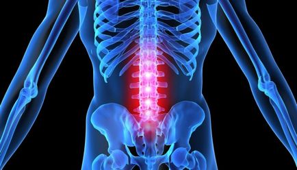 Articulațiile fatete ale normei și patologiei coloanei vertebrale