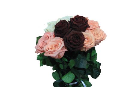 Florich, annak érdekében dolgosvezhuyu rózsa, florich vásárolni Odesszában, telefon