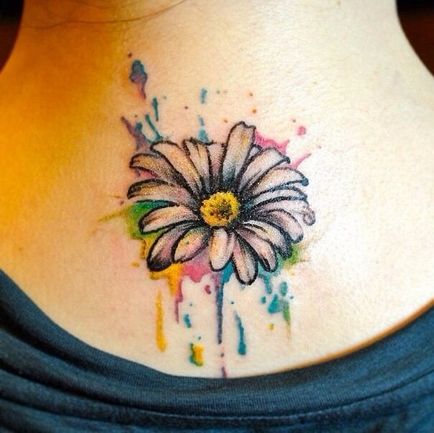 Fotografie și semnificația tatuaj daisy