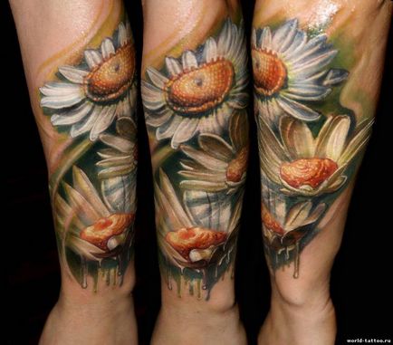 Fotografie și semnificația tatuaj daisy