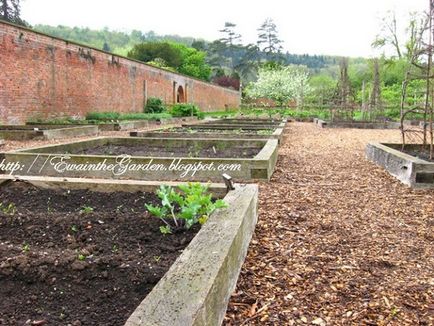 Gardening, геометрія в саду і городі або ідеї від англійського садівництва