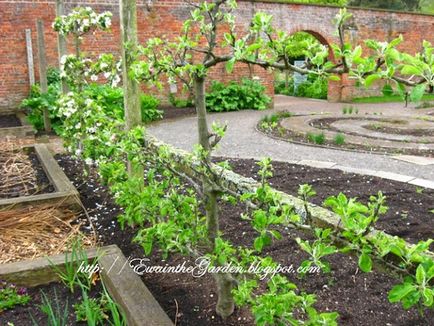 Gardening, геометрія в саду і городі або ідеї від англійського садівництва