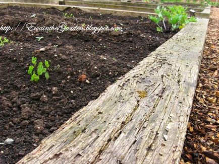 Gardening, геометрія в саду і городі або ідеї від англійського садівництва