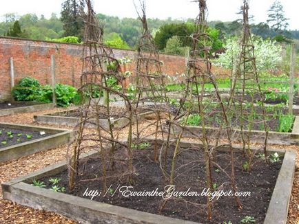 Gardening, геометрія в саду і городі або ідеї від англійського садівництва