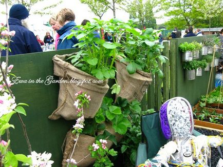 Gardening, геометрія в саду і городі або ідеї від англійського садівництва