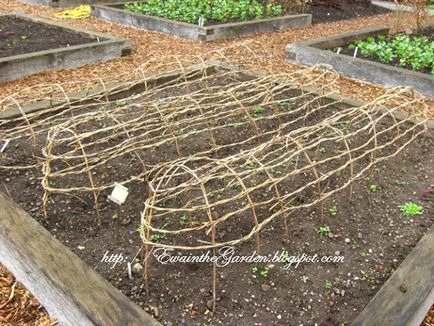 Gardening, геометрія в саду і городі або ідеї від англійського садівництва