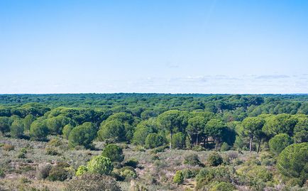 Гастрономічні екскурсії по Андалусії і курси нарізки хамона - фото-блог подорожей по іспанії