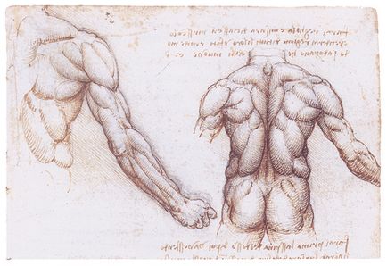 Genius Leonardo da Vinci, mai proaspăt - cel mai bun Runet pentru zi!