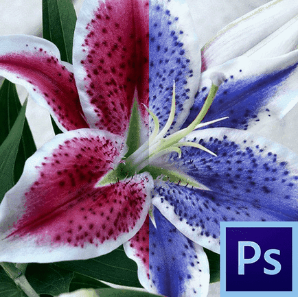 Tool - înlocuirea culorii - în Photoshop (color) Tool - înlocuirea culorii - în Photoshop