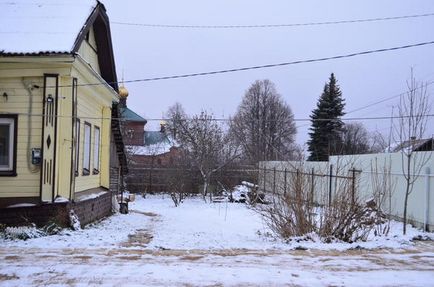 Які квіти посадити з північного боку ділянки відповіді експертів