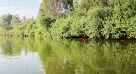 Як і куди закидати приманки спінінгів подача блешень воблерів джига