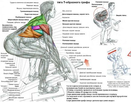 Як накачати спину, respect fit