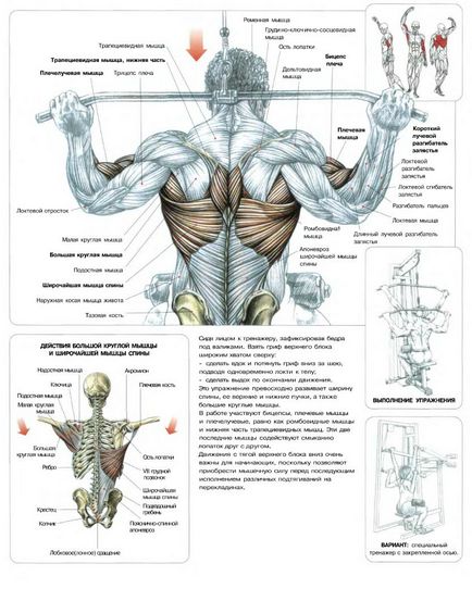 Як накачати спину, respect fit