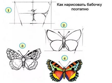 Як намалювати метелика з допомогою фото-схеми