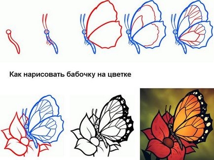 Cum de a desena un fluture cu o schemă foto