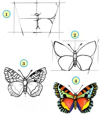 Hogyan kell felhívni a pillangó egy fotó-rendszer