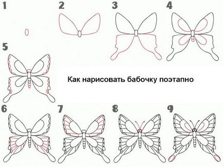 Як намалювати метелика з допомогою фото-схеми