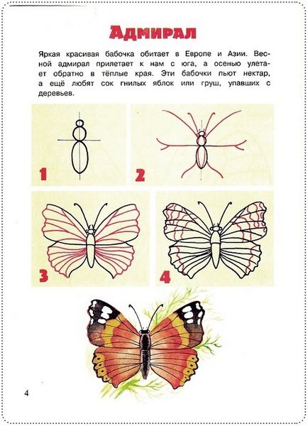 Hogyan kell felhívni a pillangó egy fotó-rendszer
