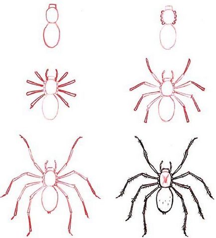 Cum de a desena un păianjen