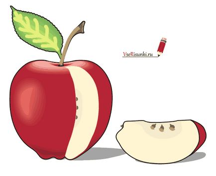 Як намалювати яблуко олівцем поетапно