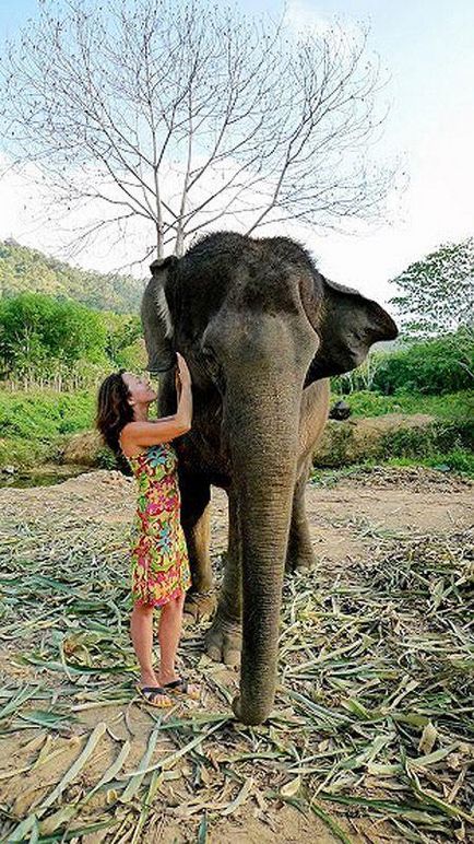 Як навчитися мити слона - новини в фотографіях
