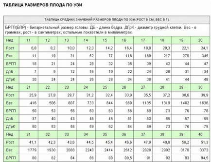 Cum se calculează data nașterii conform uzi