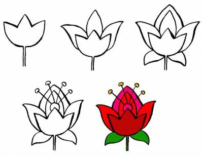 Hogyan kell felhívni a virágok, festék eper, gyermekláncfű és geránium ceruza szakaszaiban