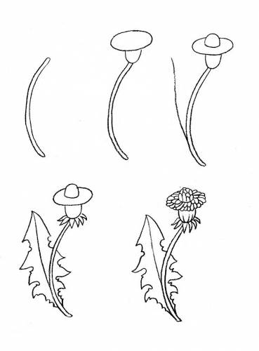 Як малювати квіти, малюємо суницю, кульбабу і герань олівцем поетапно
