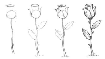 Cum să atragă flori, să deseneze căpșuni, păpădie și creion de geraniu în etape
