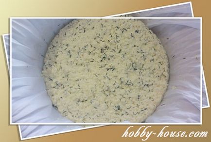 Cum să faci o brânză acasă din lapte, acasă, familie și cu mine