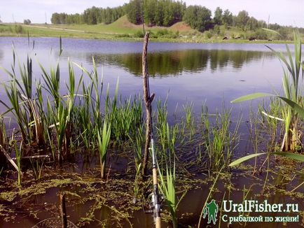Cum sa faci un suzeta pentru pescuitul de crap - pescuit in regiunea Sverdlovsk