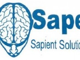 Як створювати сайти для заробітку в sape