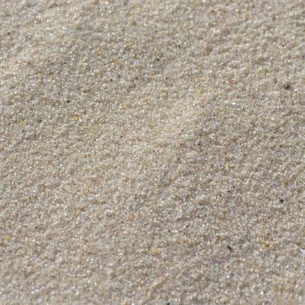 Як вибрати пісок для купання шиншил