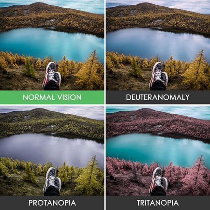 Cum se vede jaluzele color 10 fotografii