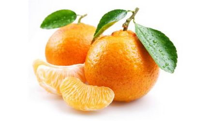 Cum să crească un mandarin pe un pervaz, portalul femeilor din Belarus