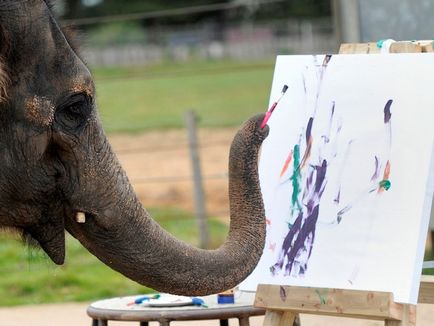 Картини цих тварин цінуються більше, ніж картини ван гога!