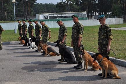 Dog Training Center a határ szolgáltatás