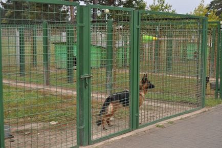 Dog Training Center a határ szolgáltatás
