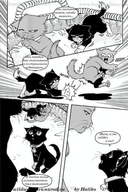 Cărți de pisică - războinici pe winxland, animeans de cluburi winx