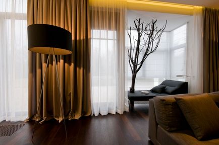 Brown în interiorul camerei de zi nobil și design de cameră de lux (50 pics)