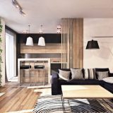 Brown în interiorul camerei de zi nobil și design de cameră de lux (50 pics)