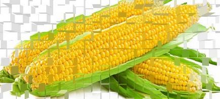 Kukoricaolaj előnyök és kárt a szervezetben