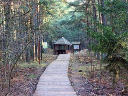 Curonian Spit în Kaliningrad fotografie a parcului național, odihnă și dans